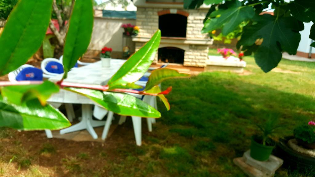 Apartment Dolac