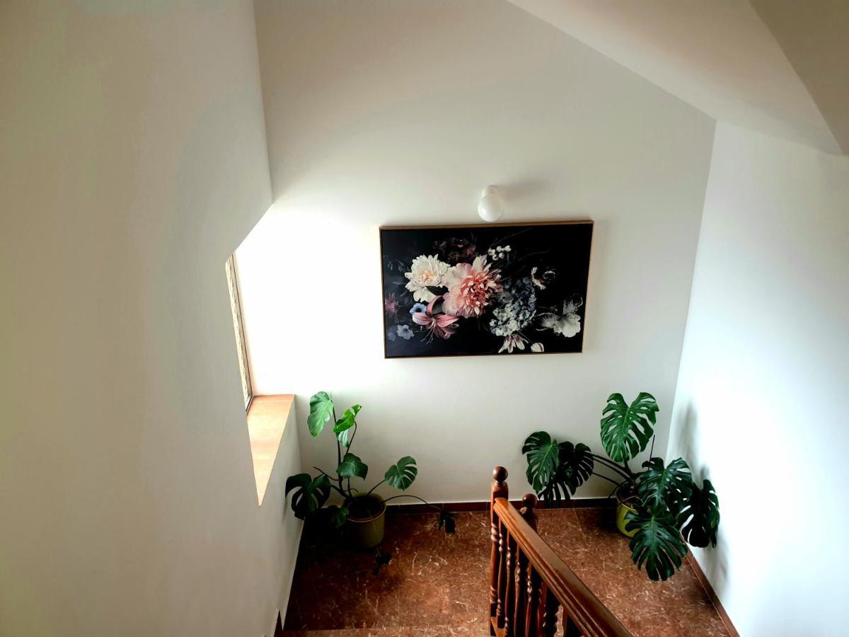 Apartment Dolac *