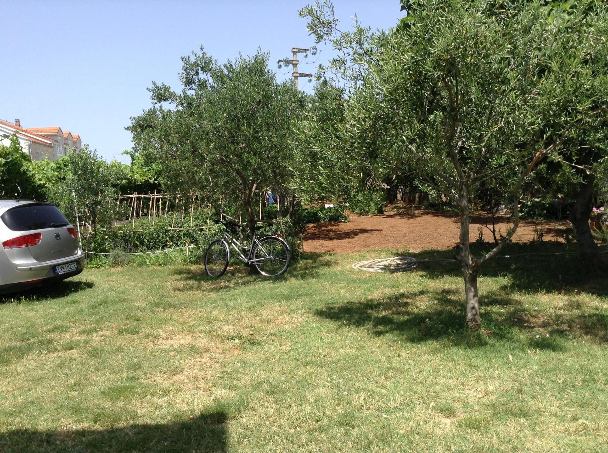 Apartman Dolac