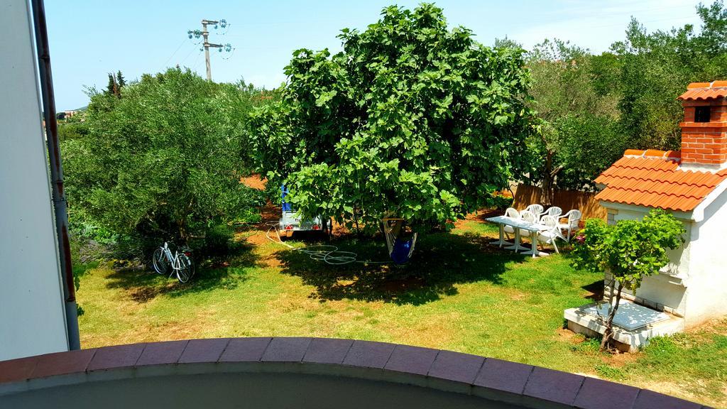 Apartment Dolac *