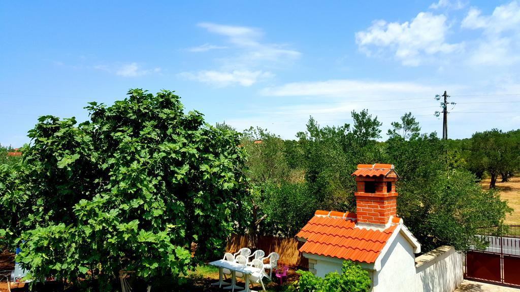 Apartment Dolac