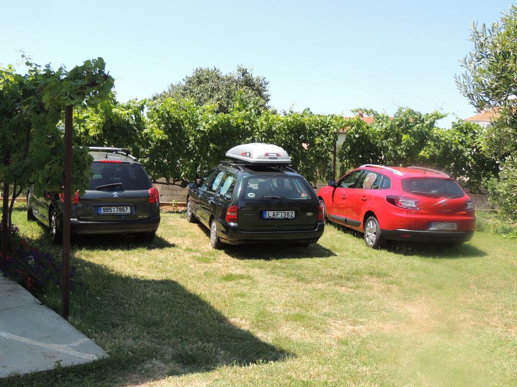 Dolac Apartment