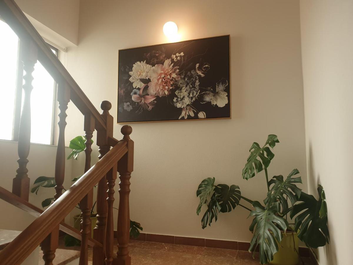 Apartment Dolac *